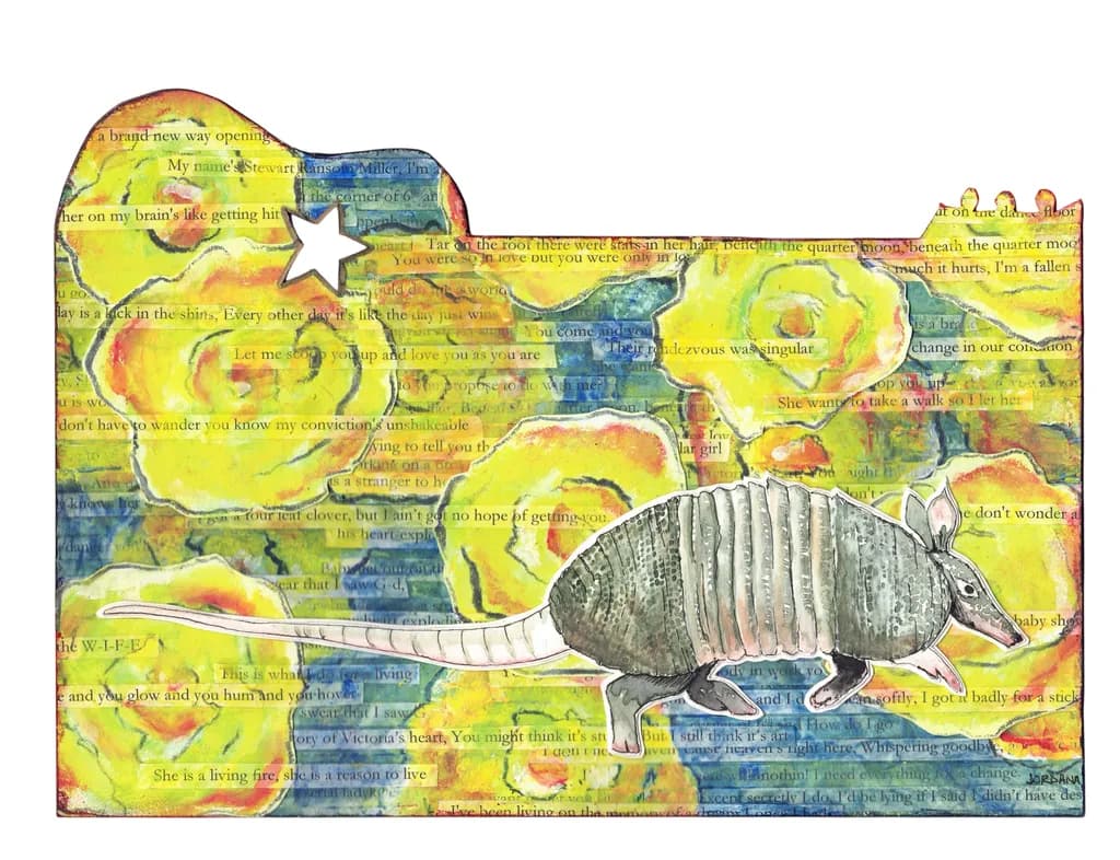 Armadillo Rhett Miller