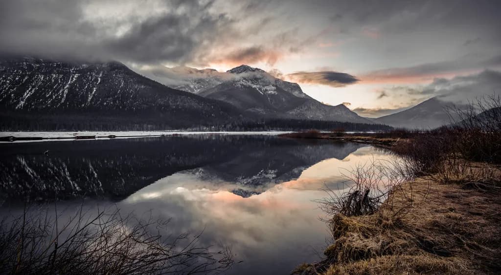 Quiet Reflection