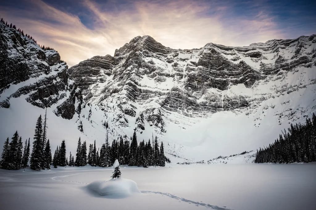 Frozen Quietude