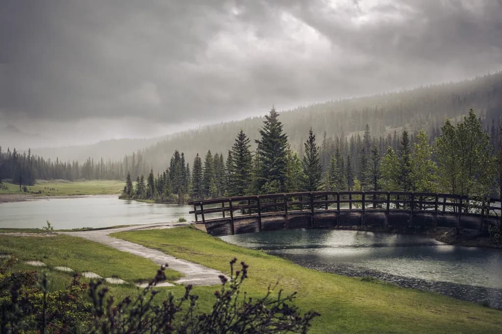 Misty Bridge Path