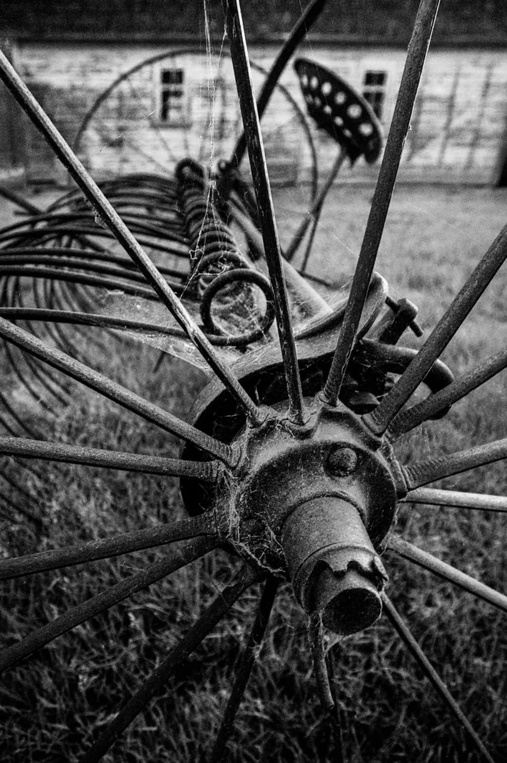 Old Harrow Wheel