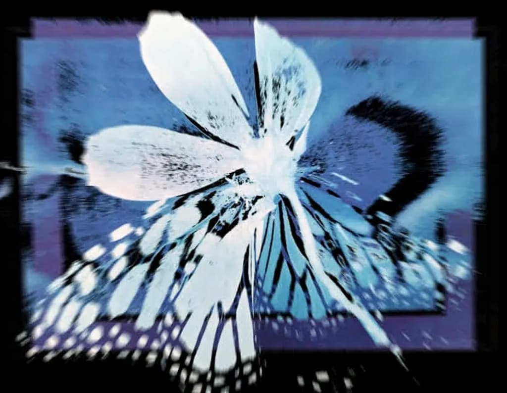 Papillon Déconstruit