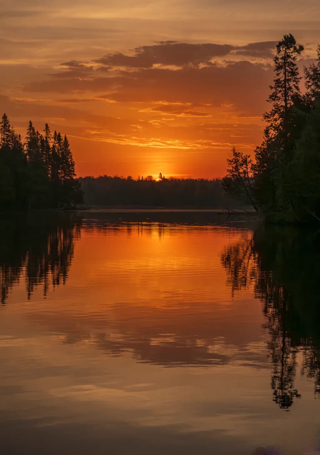 Northwoods Morning