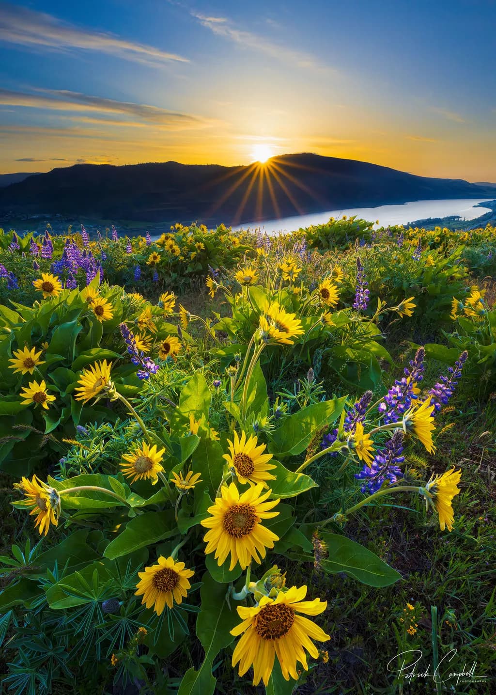Here Comes the Sun