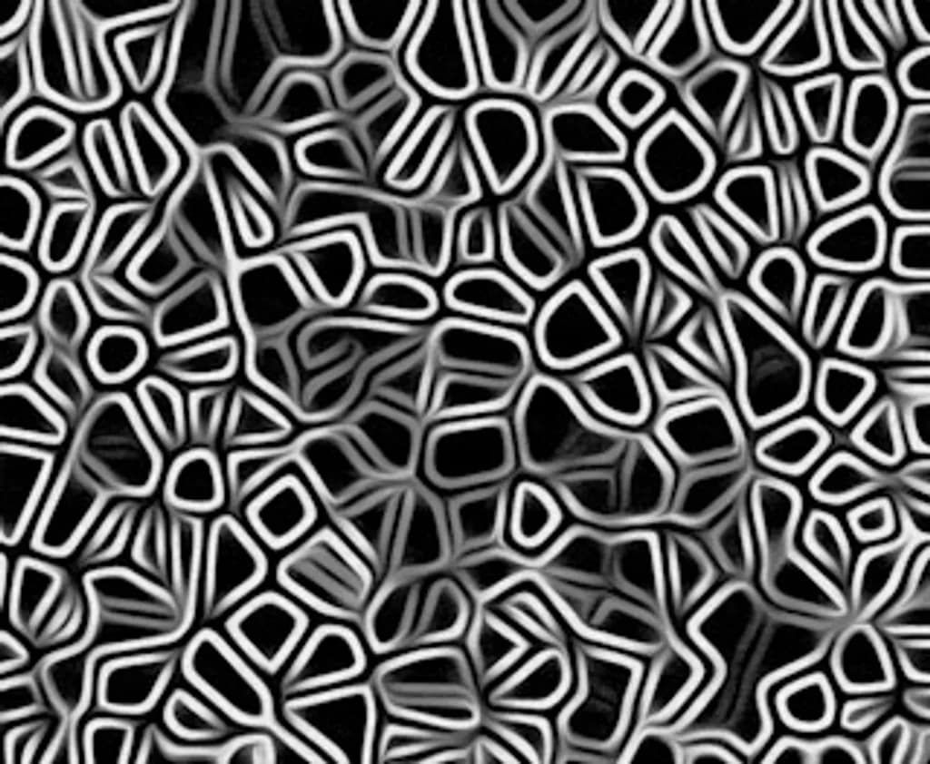Shadowwoven Maze