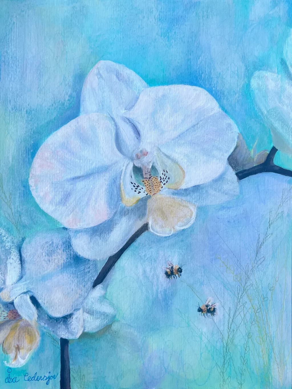 Blue Orchid with Bees