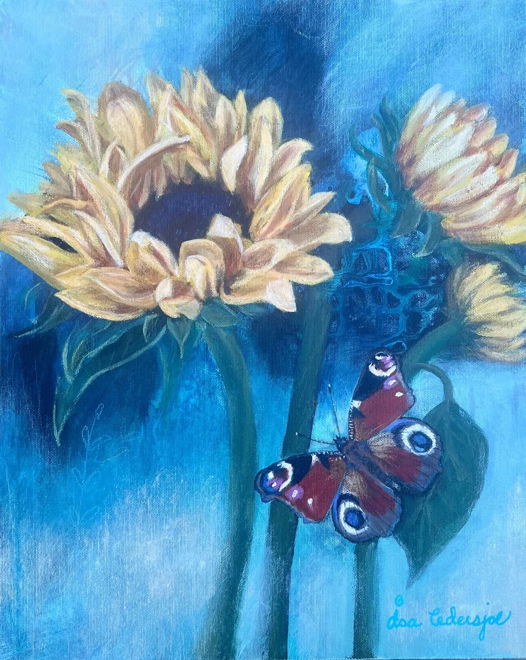 Sunflower Butterfly Contrast