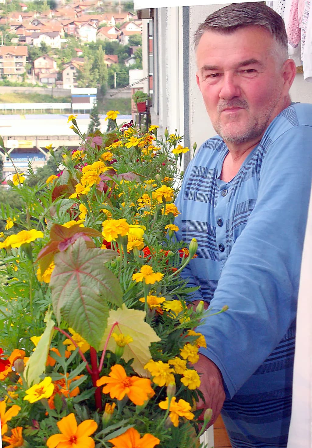 A Vibrant Embrace: A Man and His Blossoms on the Balcony