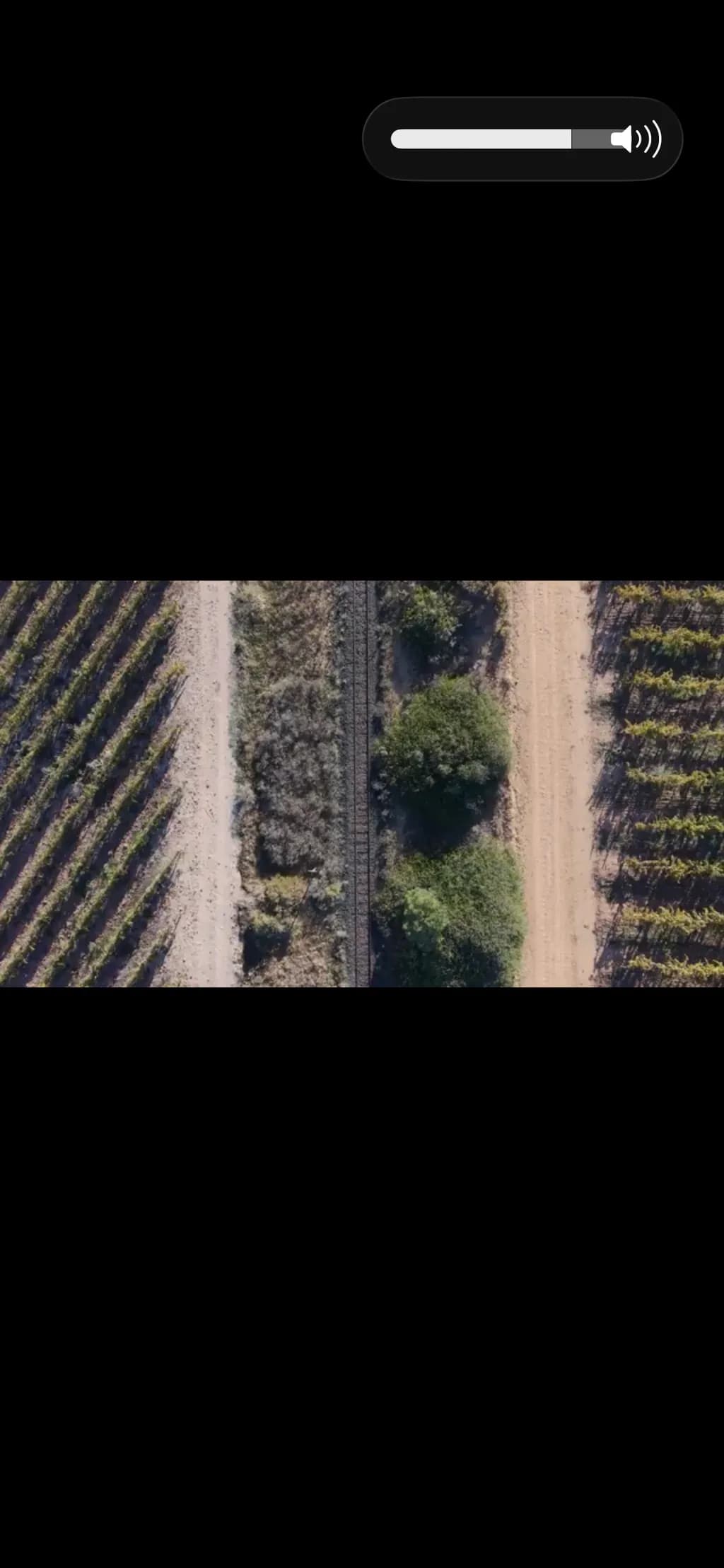 Railway Vineyard Divide