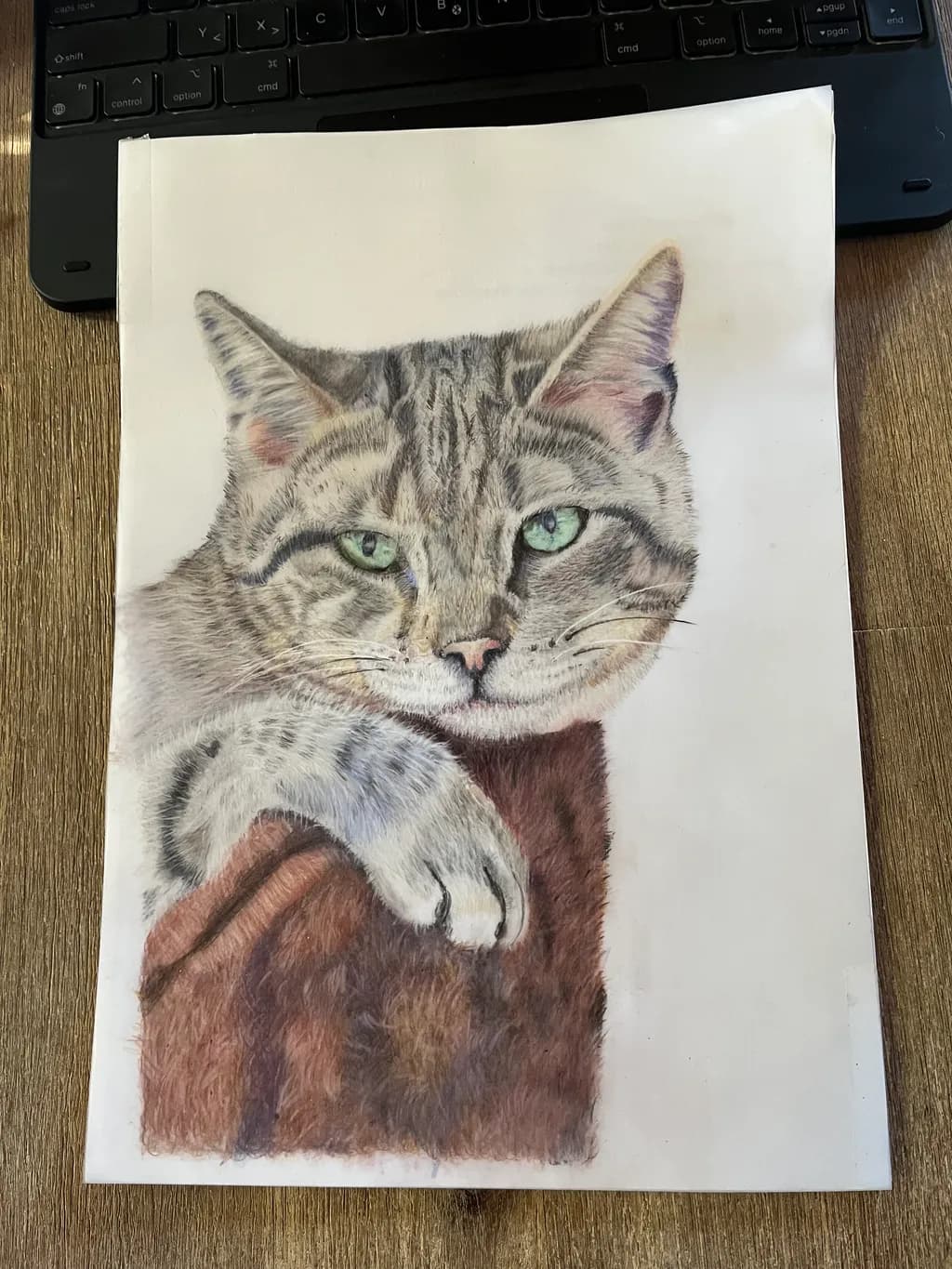 Whiskered Serenity: A Striking Portrait of a Tabby Cat