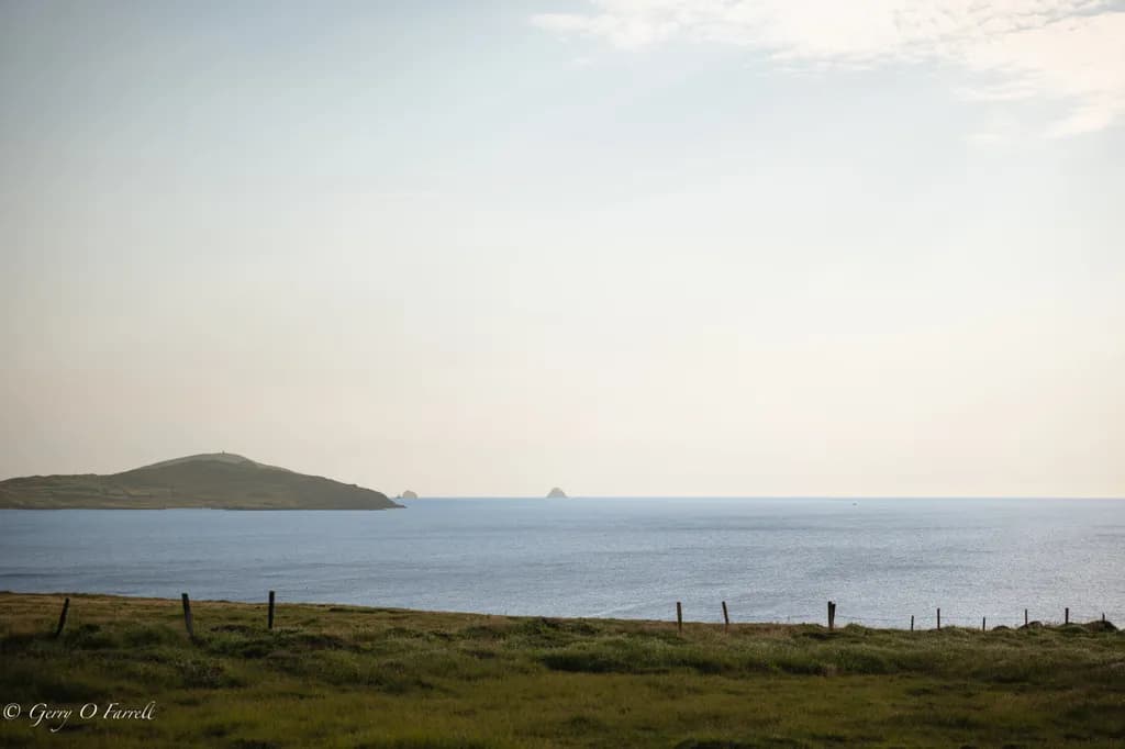 Calm Horizon