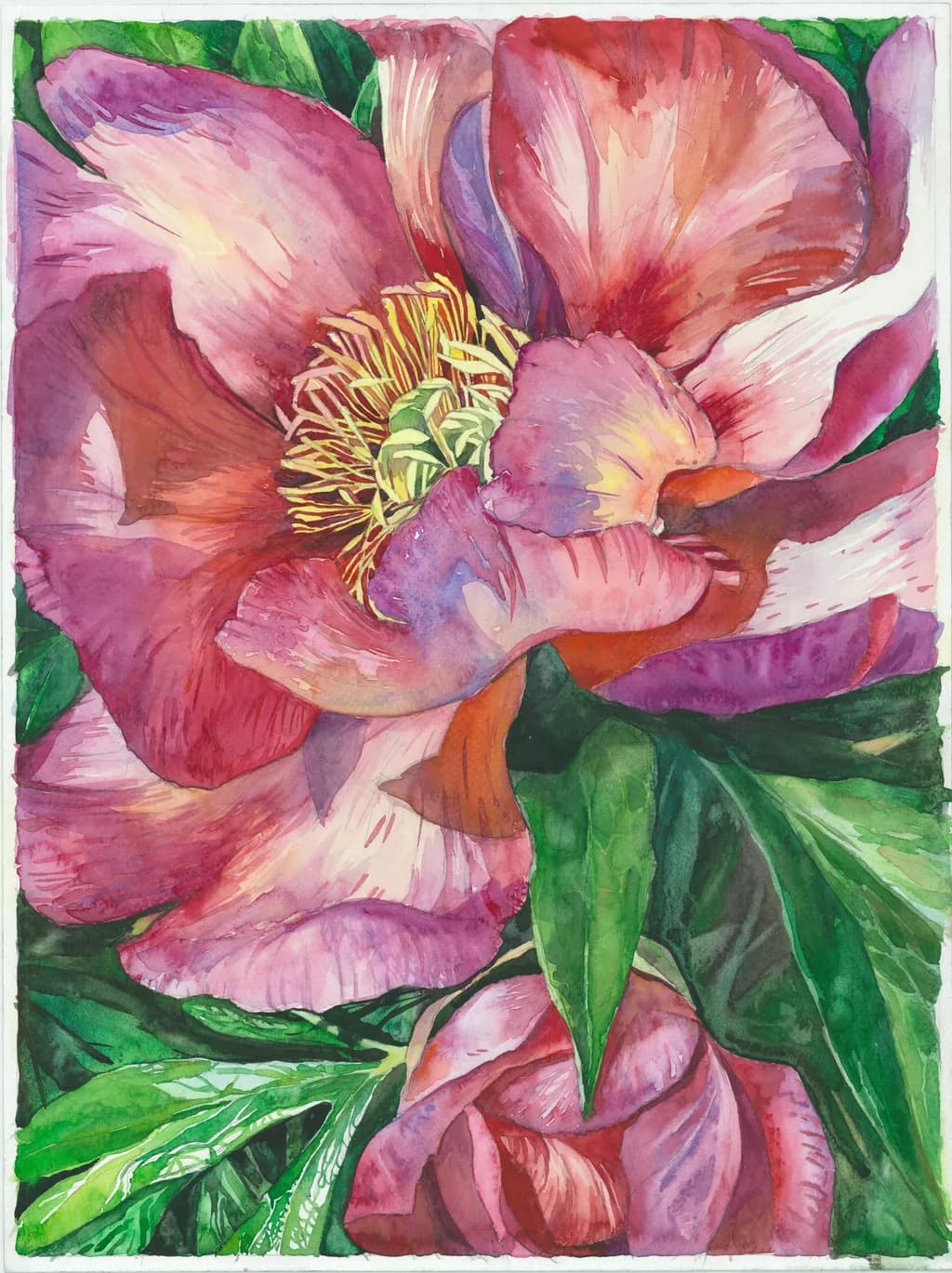 Vibrant Blossoms: A Watercolor Journey Through Nature's Botanical Beauty