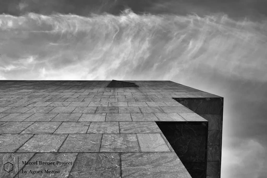 Whitneymúzeum Perspective