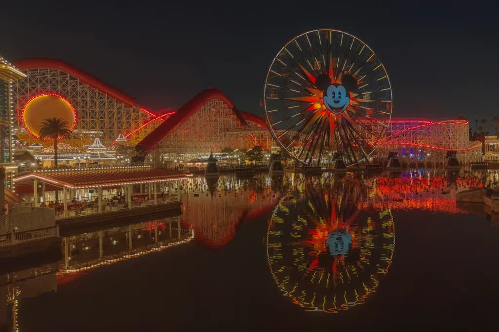 Night Lights Reflection