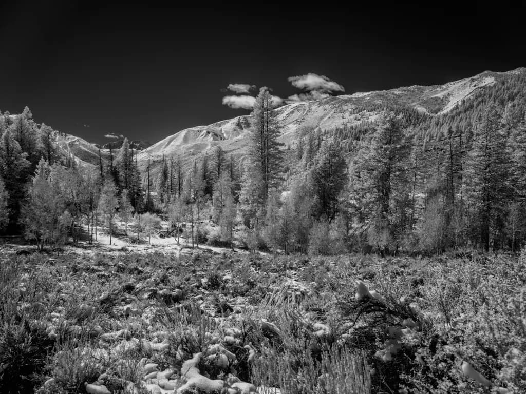 Twin Lakes Reflection