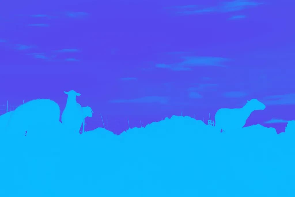 Whispers of the Wild: Silhouetted Animals Against a Dreamy Blue and Purple Sky