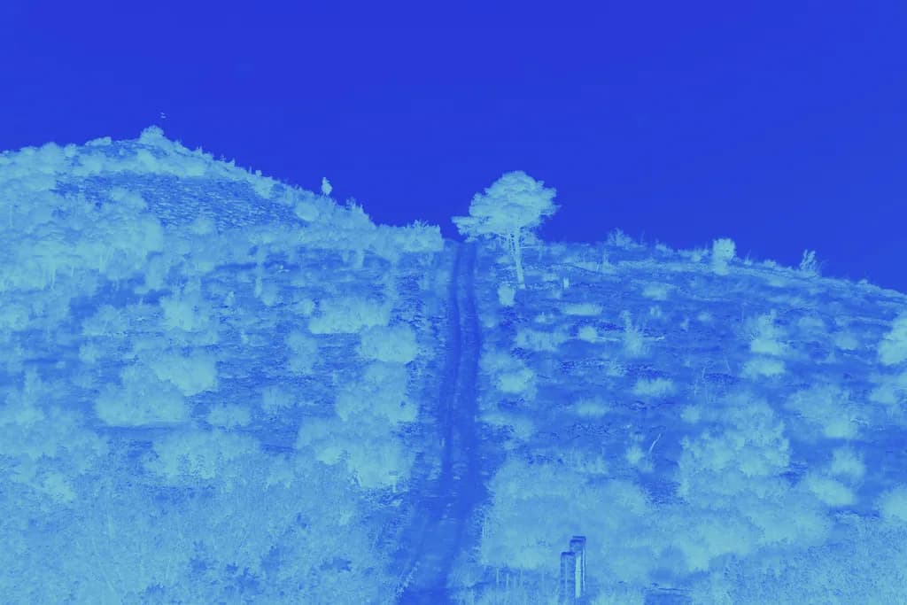 Whispers of the Blue Horizon: A Serene Journey Through Nature's Palette