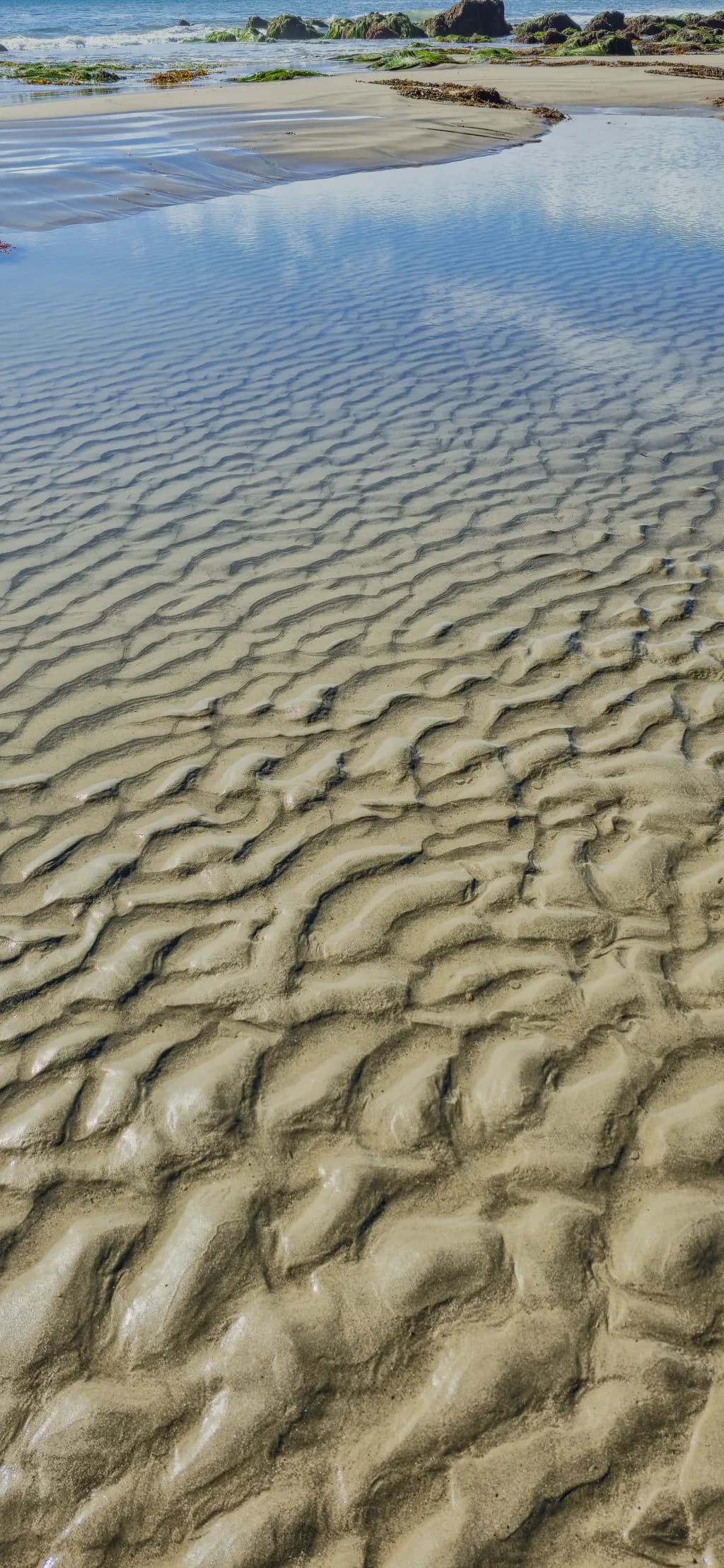 Rippling Sandscape
