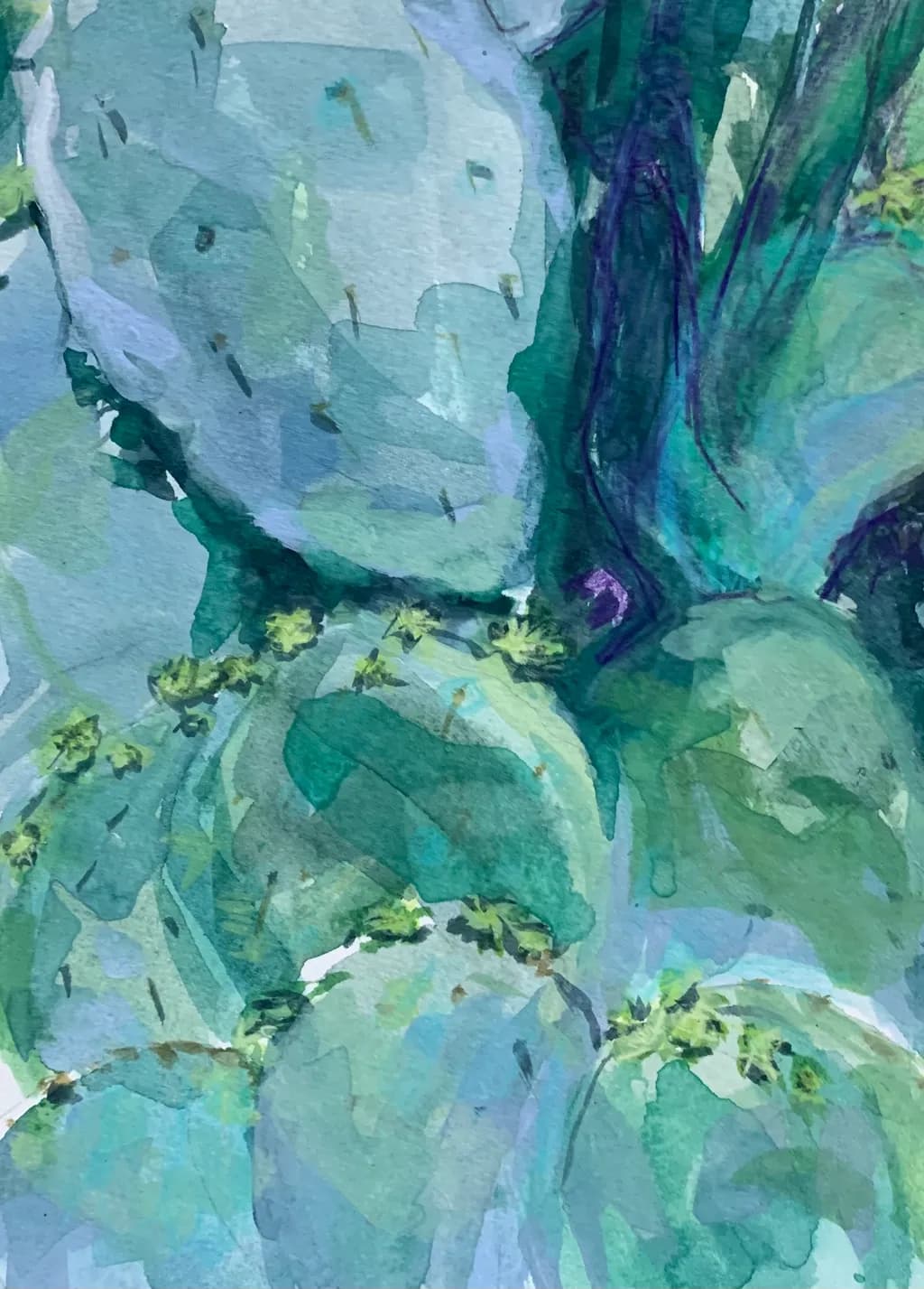Bluegreen Citrus
