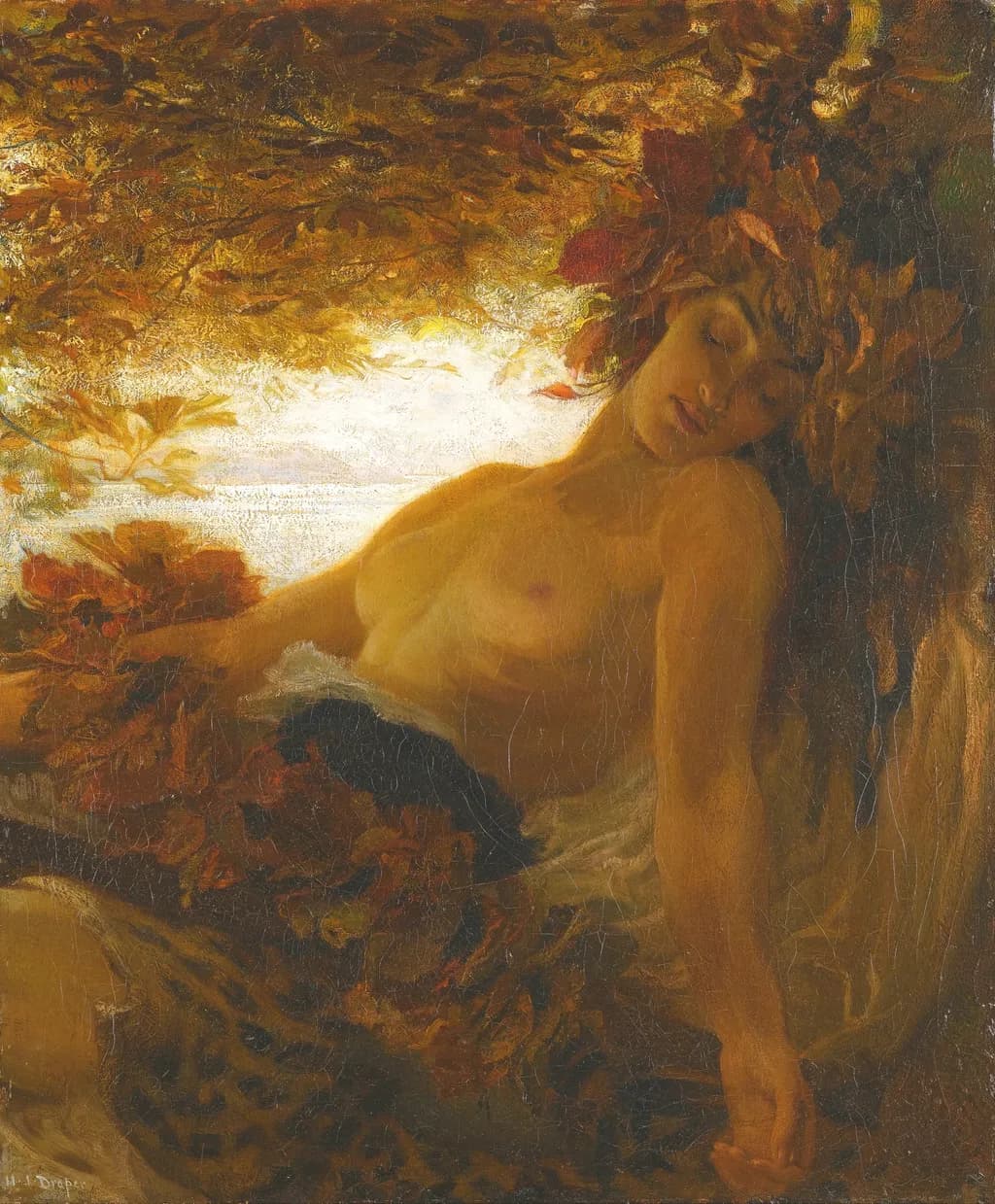 Whispers of Autumn: A Serene Embrace of Nature's Beauty
