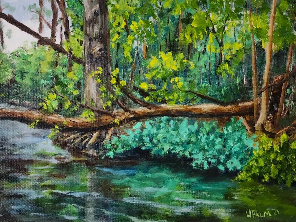A Spot in the Woods