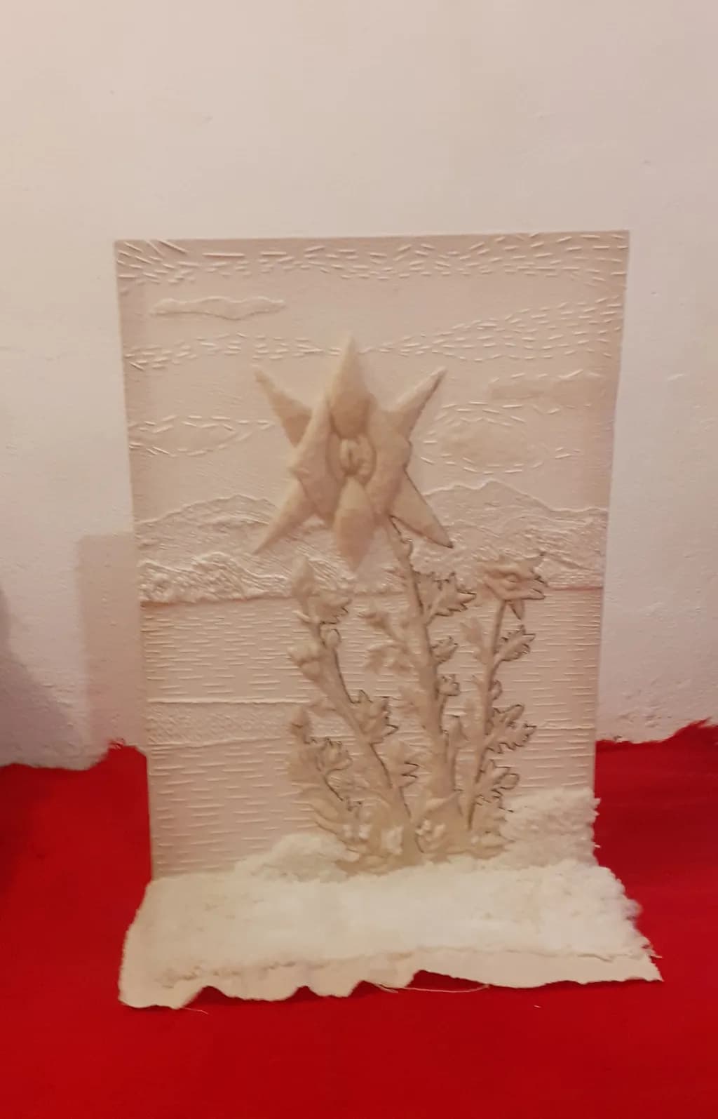Starflower Relief