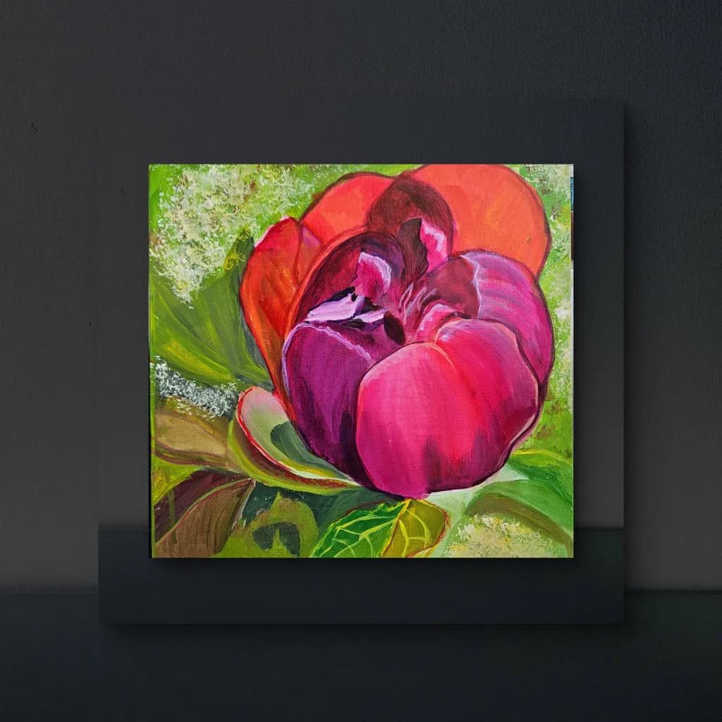 Peony Bloom