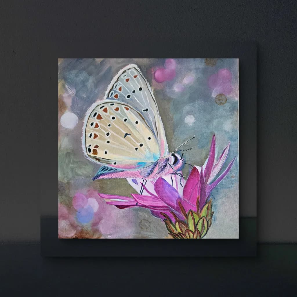 Butterfly on Bloom