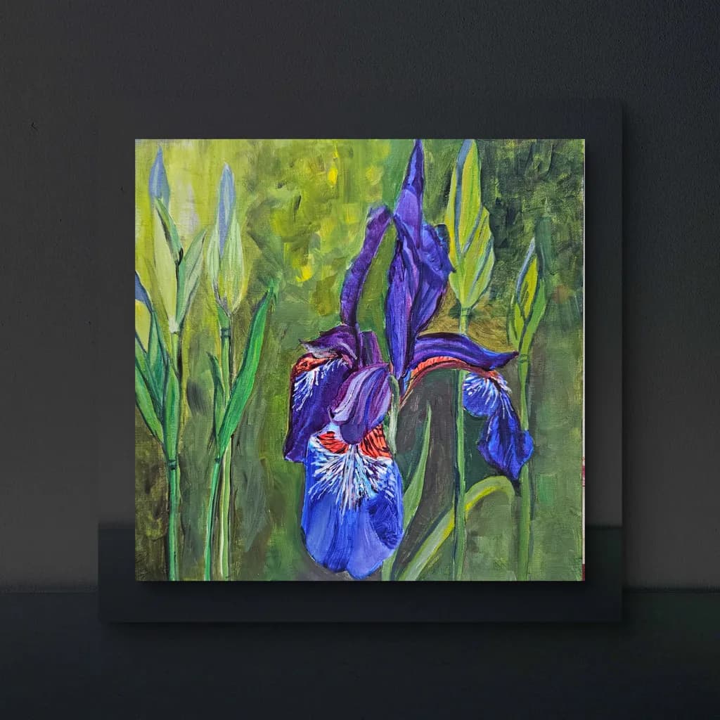 Iris in Bloom