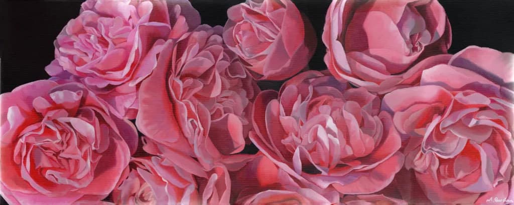 Blush Camellias