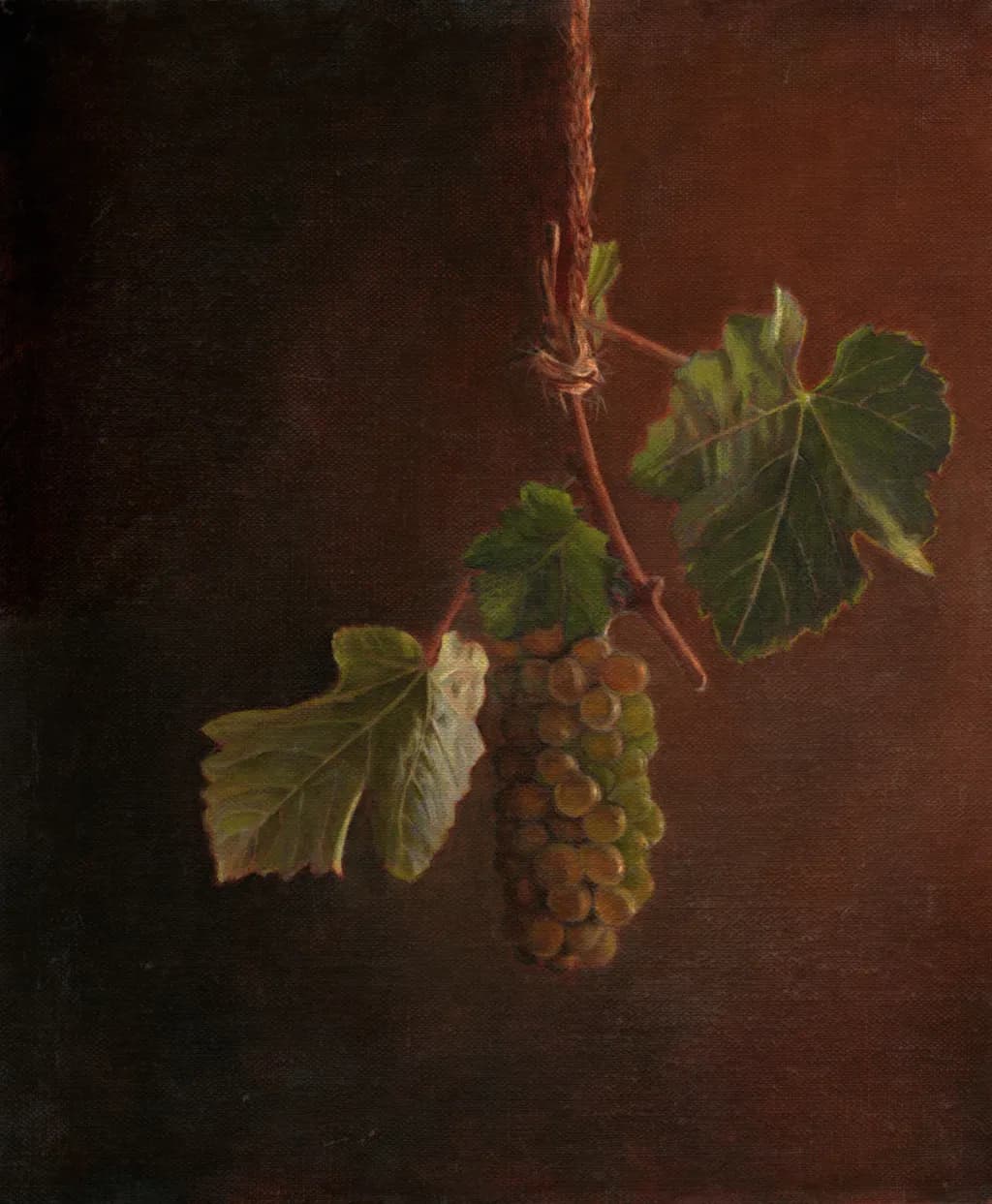 Sauvignon Blanc