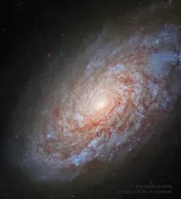 Celestial Whirlwind: A Journey Through the Cosmic Spiral