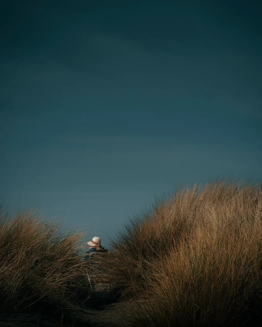 Solitude in Tall Grass