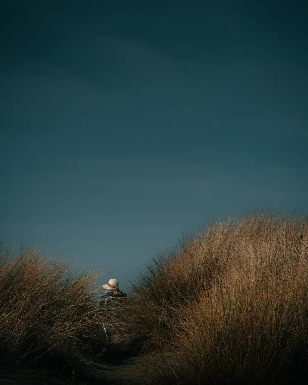 Quiet Pathway