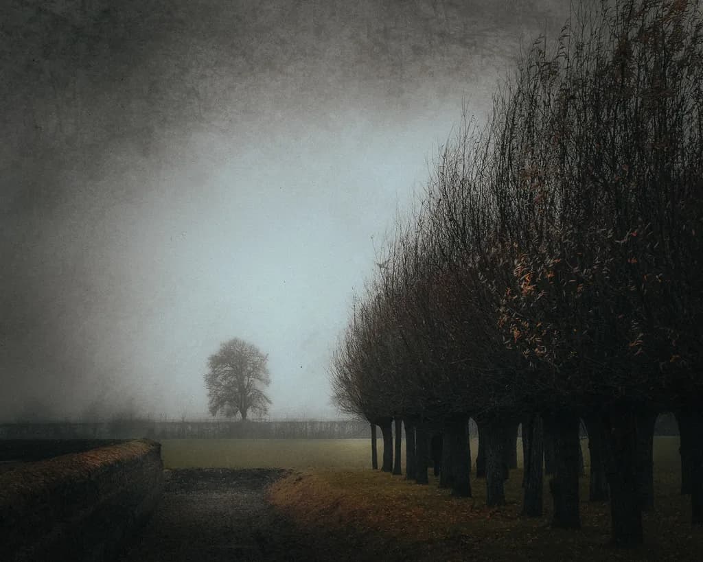 Quiet Alignment