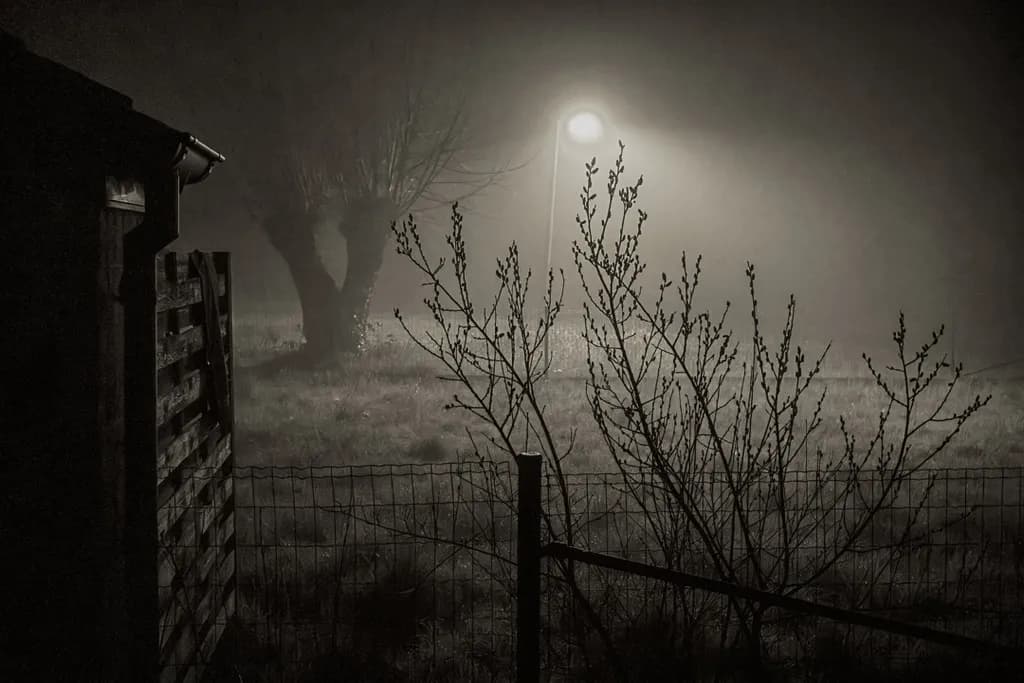 Nightlight Fence