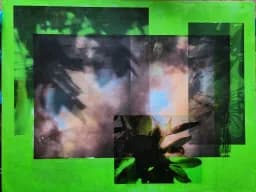 Trompe-l'œil / Surface Memory: The Skin Of Things series