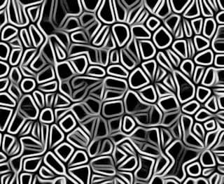 Intricate Monochrome Patterns: A Dance of Light and Shadow