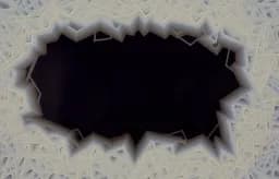 Fractured Presence