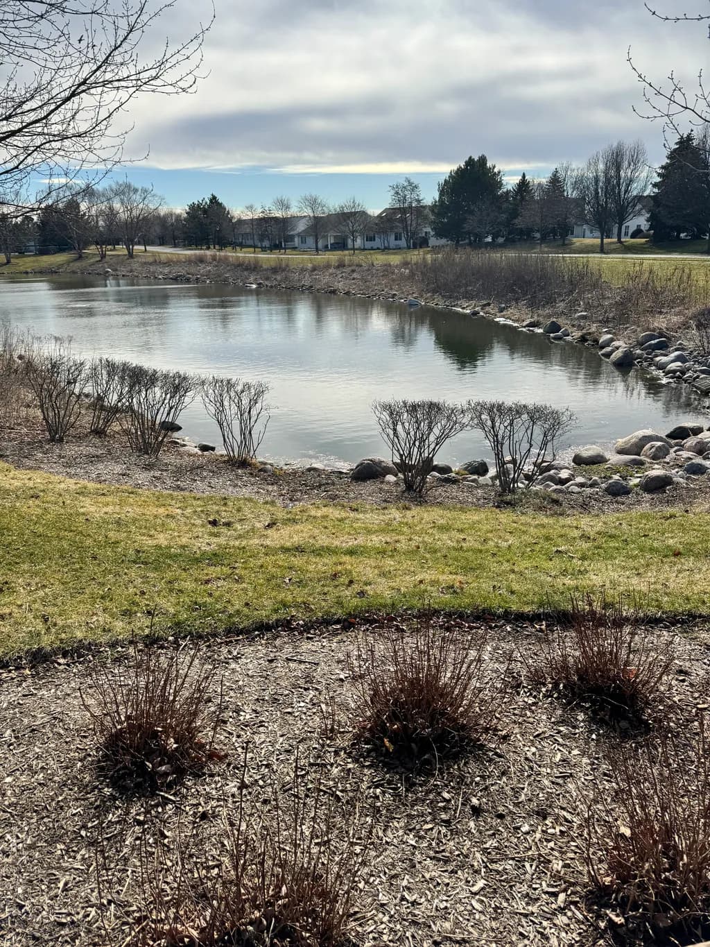 Quiet Neighborhood Pond