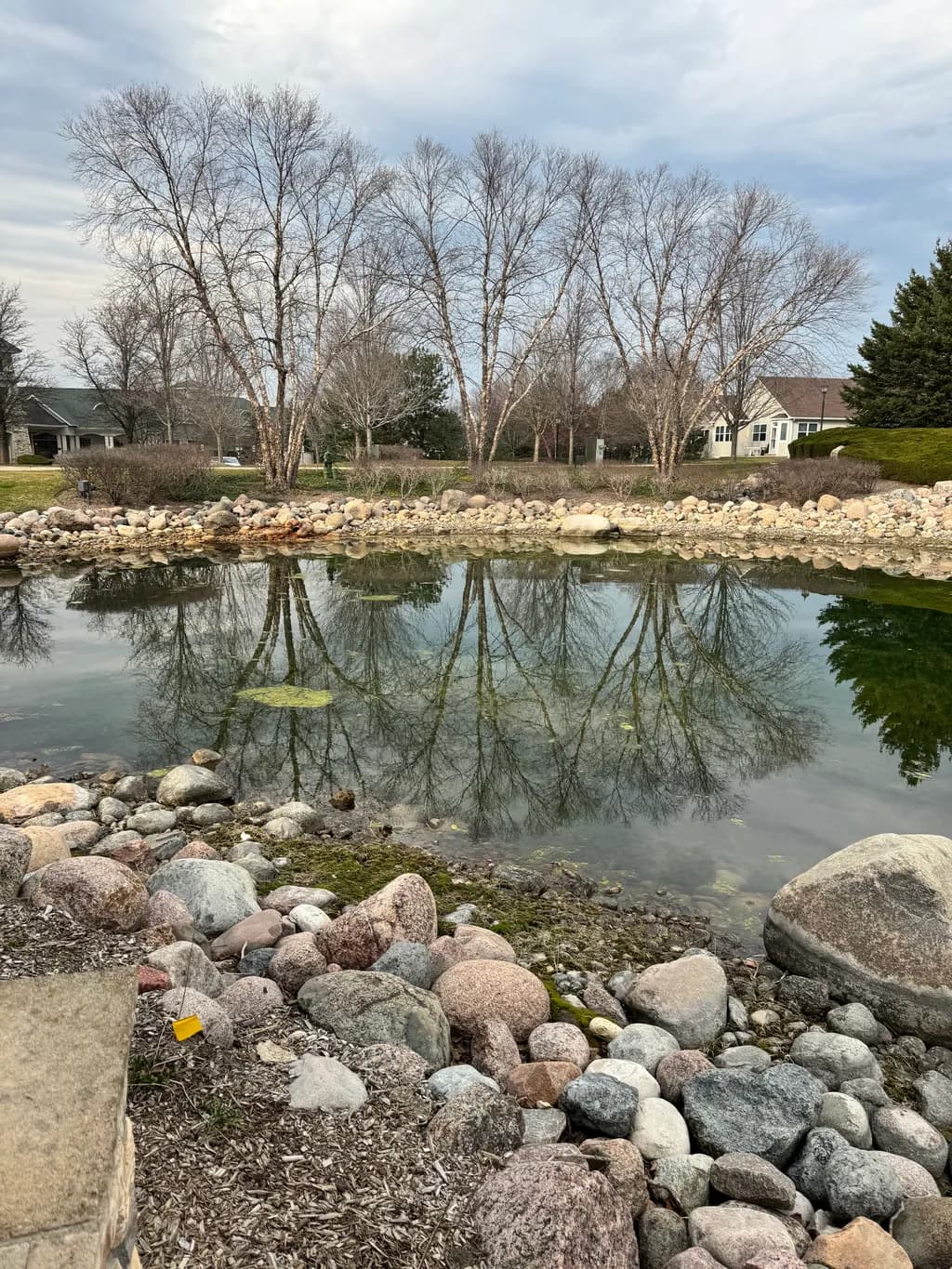 Pond Reflection