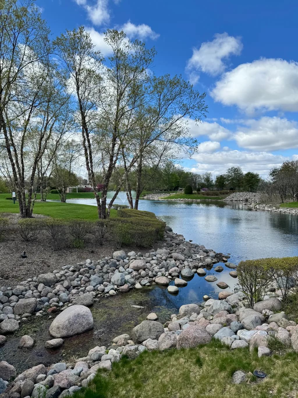Rocky Riverbank Scene