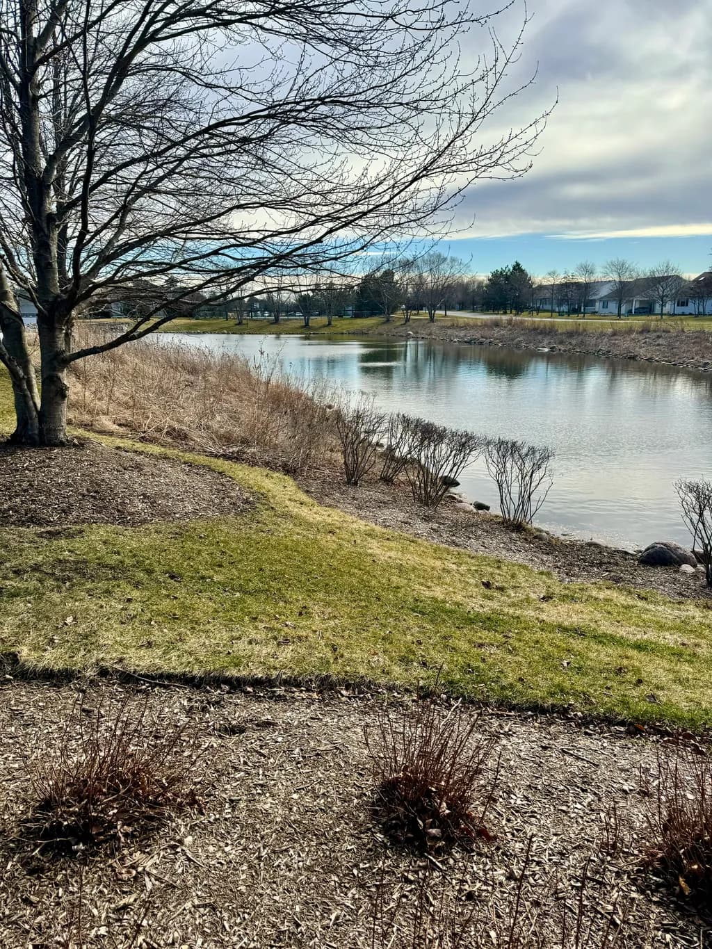 Riverbend Quiet