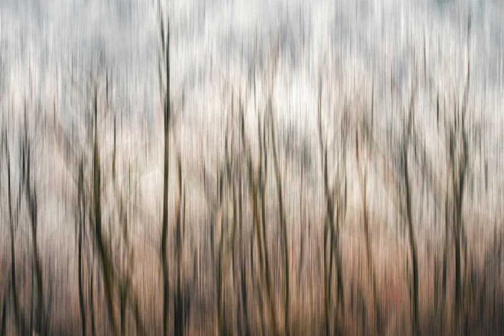 Whispers of Nature: An Ethereal Dance of Blurred Trees in Abstract Harmony