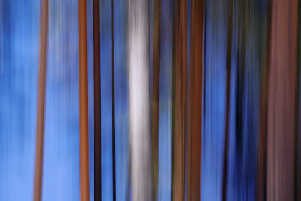 Whispers of the Forest: A Dance of Color and Light