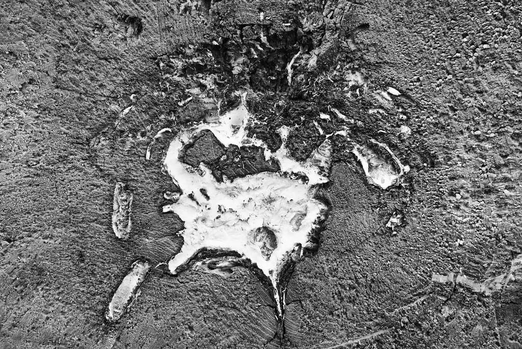 Ethereal Landscapes: The Dance of Nature in Monochrome Textures