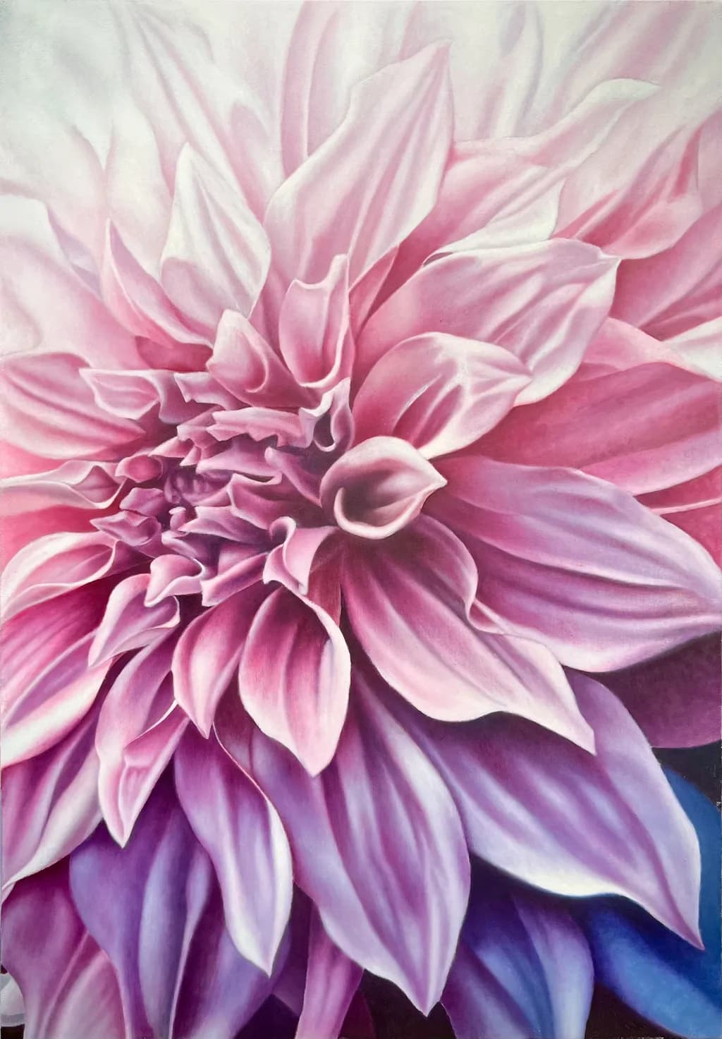 Purple Blush