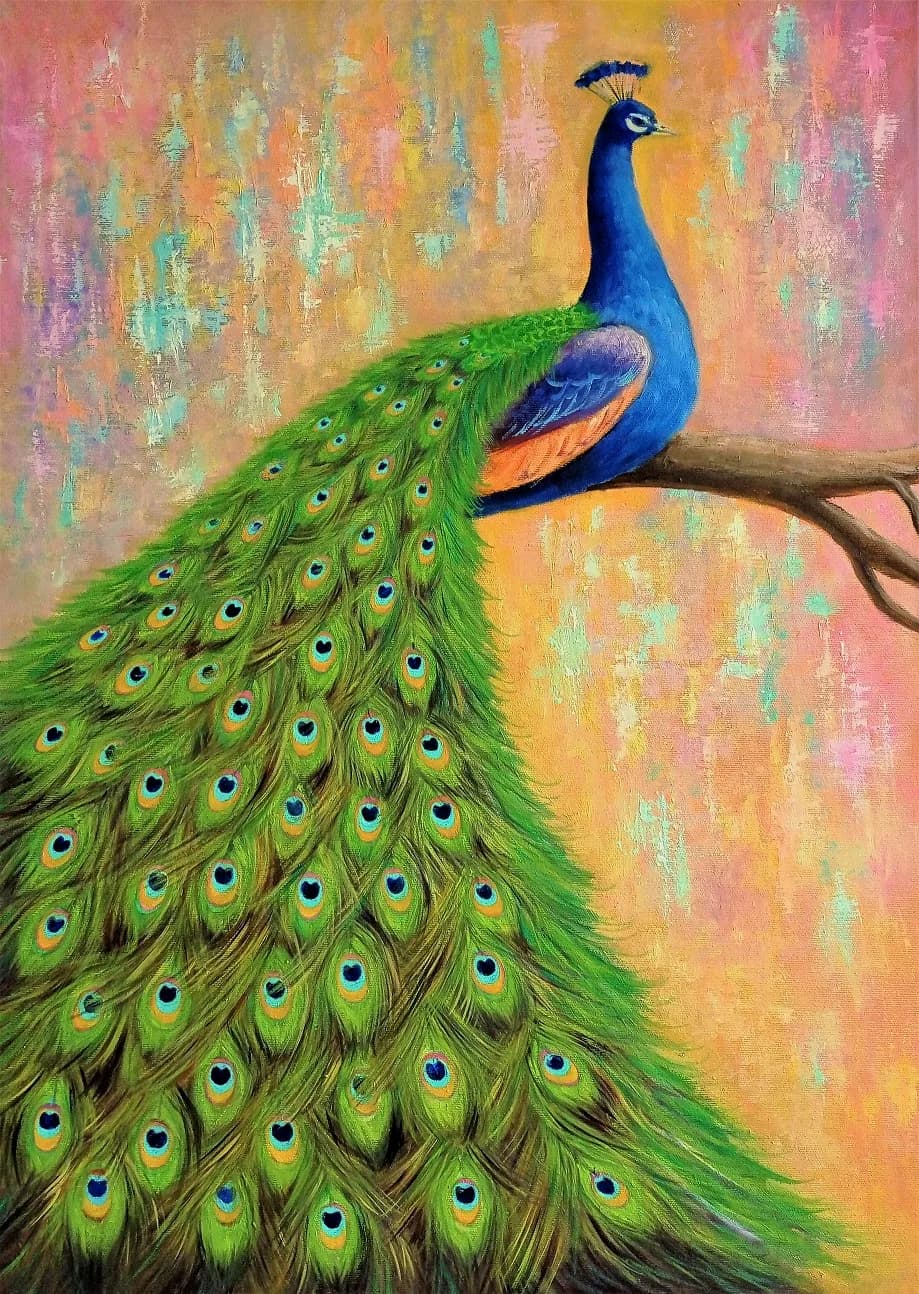 Peacock Silence