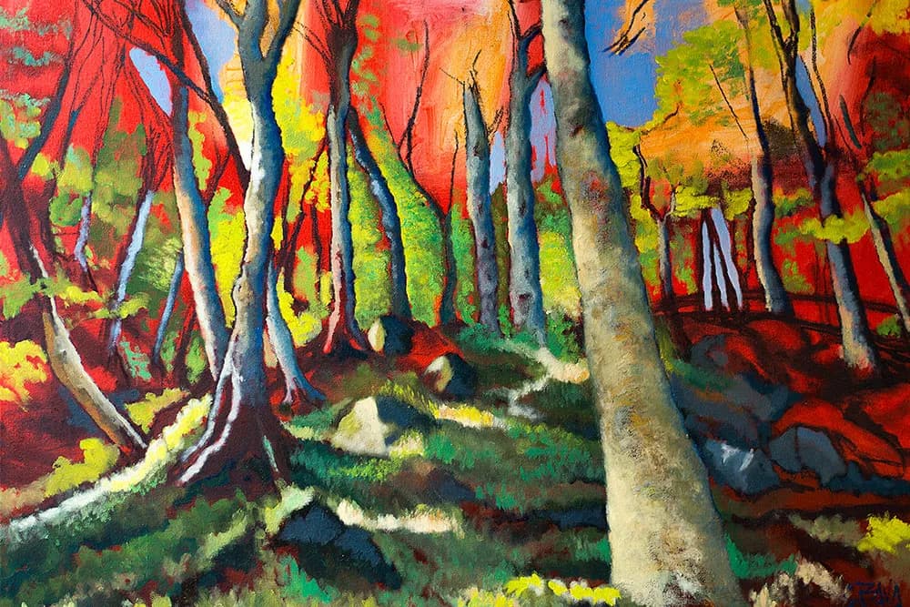 Whispers of Autumn: A Vibrant Forest Awakening