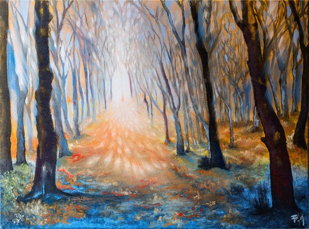 Whispers of Light: A Journey Through the Enchanted Forest